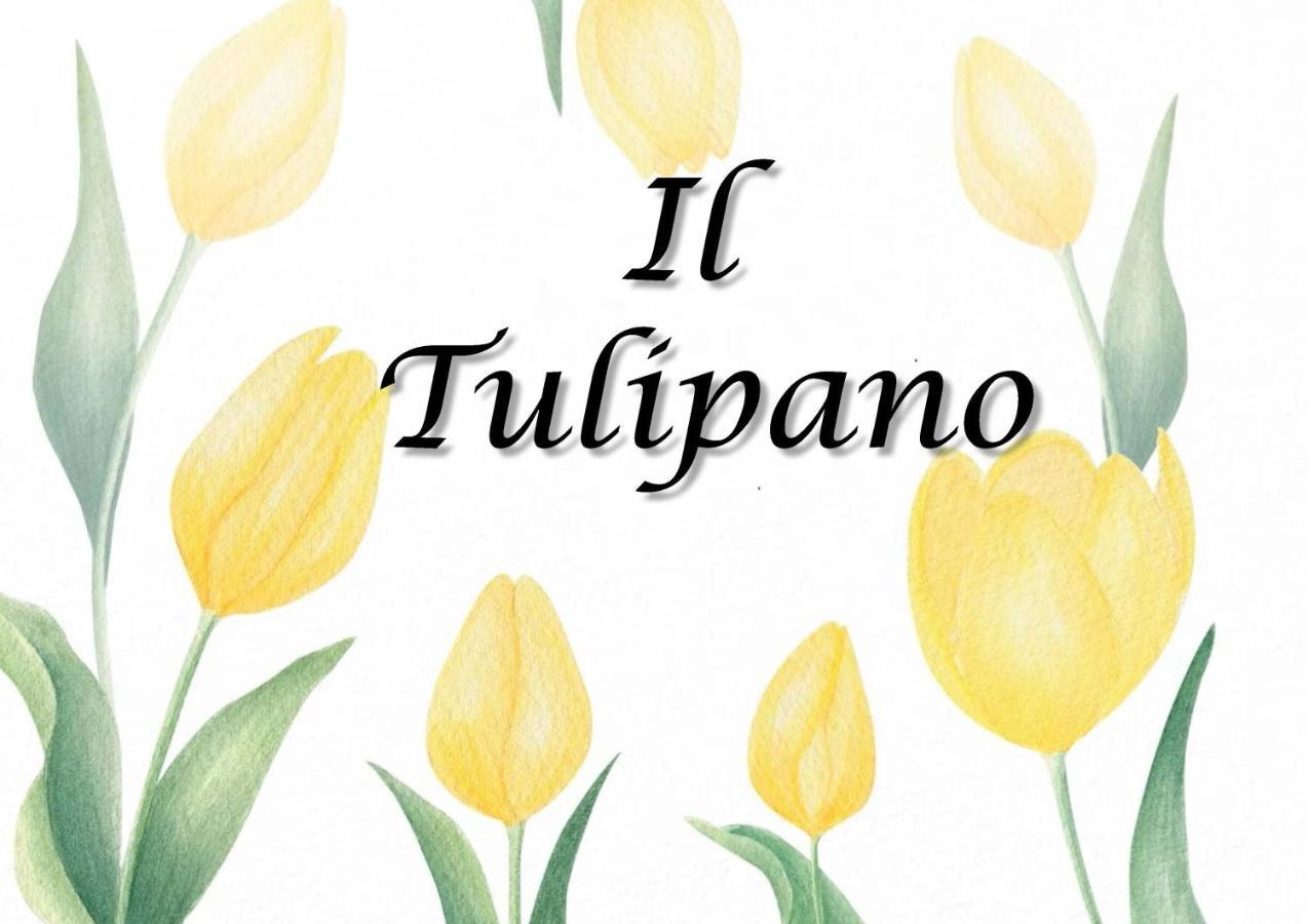 Апартаменты Il Tulipano Треццано-Роза Экстерьер фото